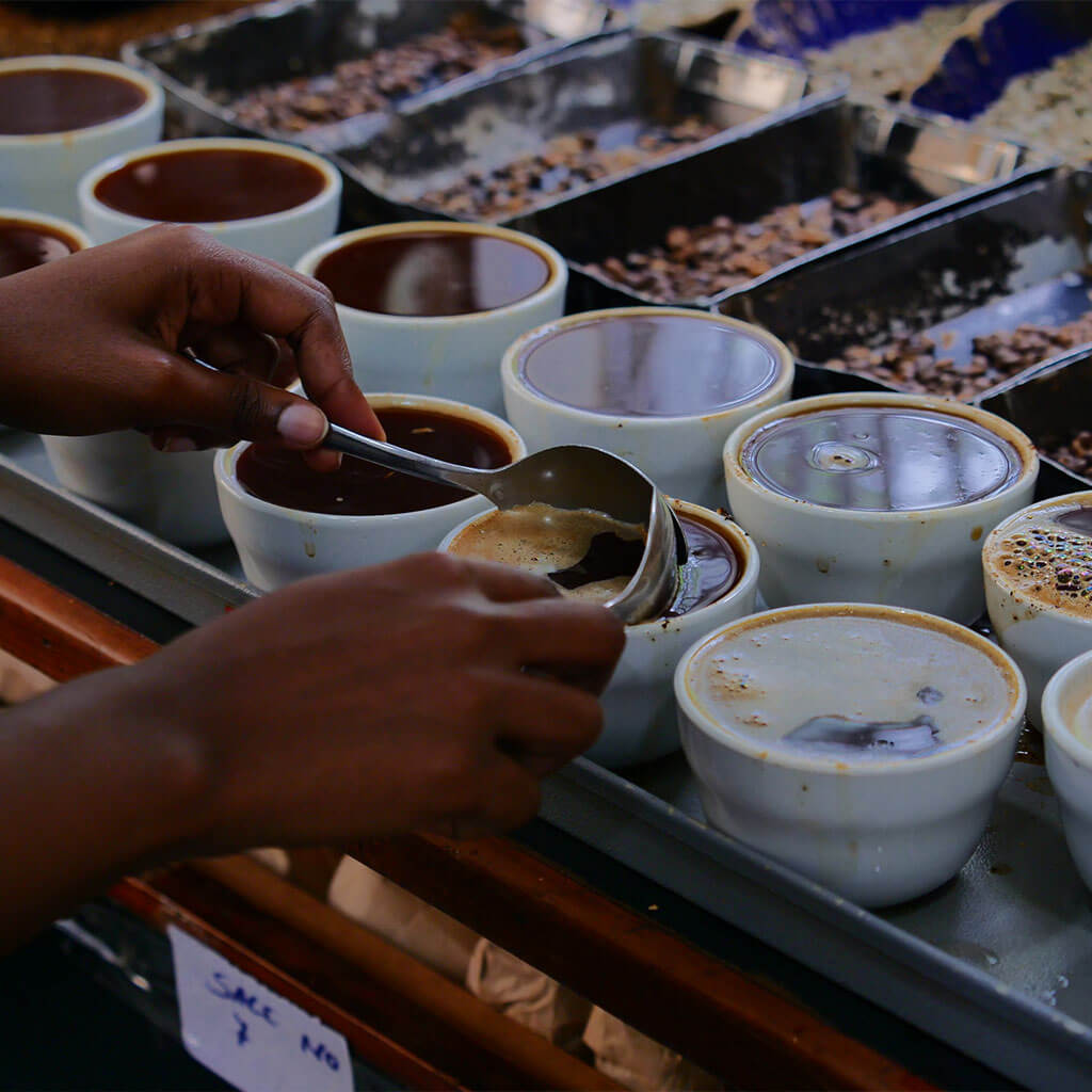 View details for the year 2010